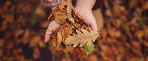 Untitled Design 2022 10 28t144620.734